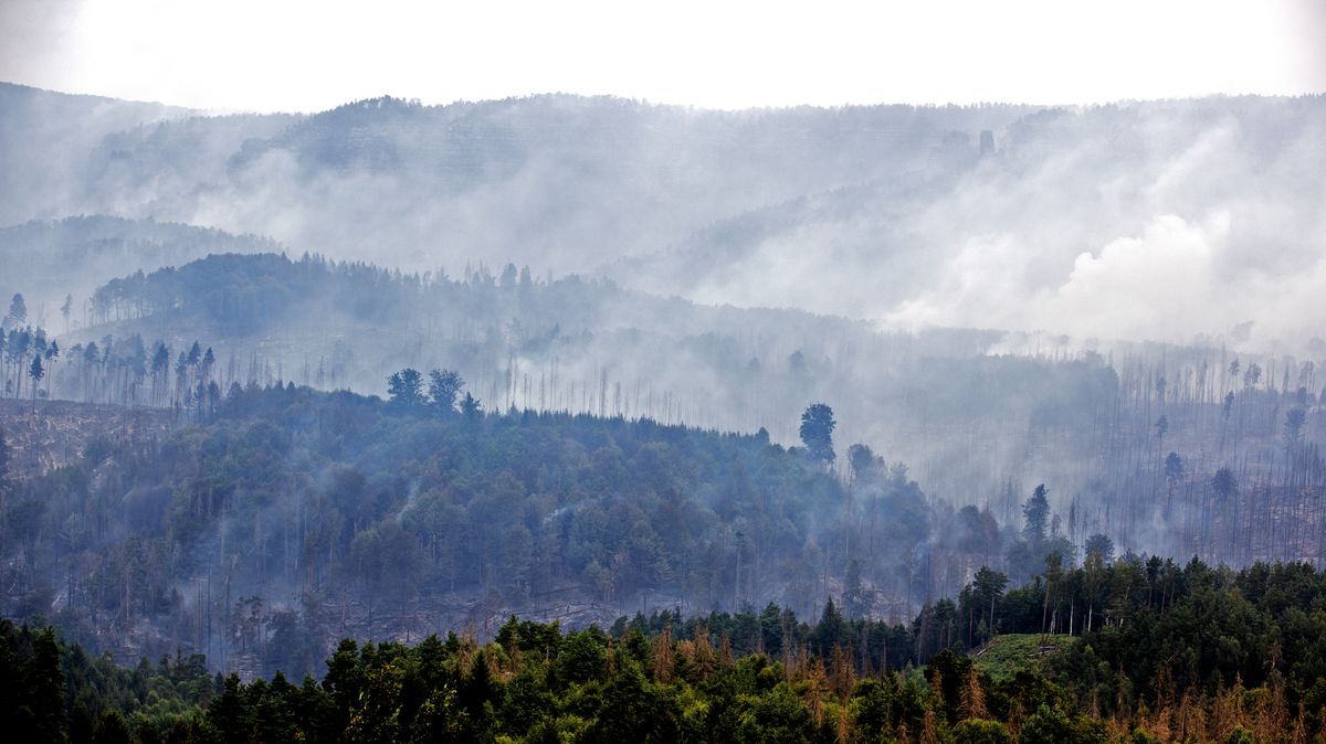 Tvář apokalypsy: Národní park se mění ve spálenou holopláň